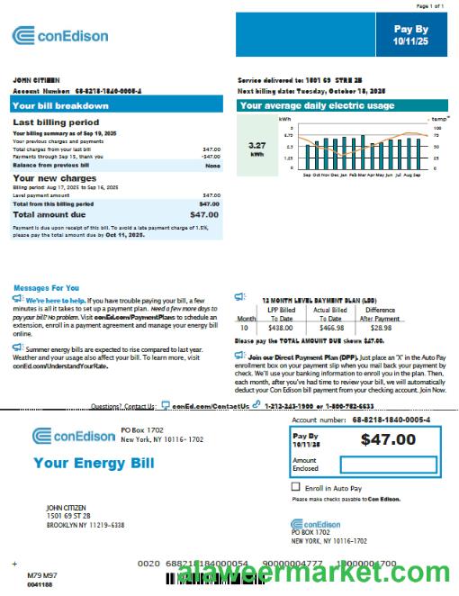 USA Conedison utility bill template in Word and PDF formats, version 3